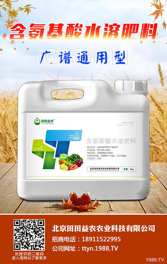 種植菠蘿蜜要注意什么，菠蘿蜜的種植注意事