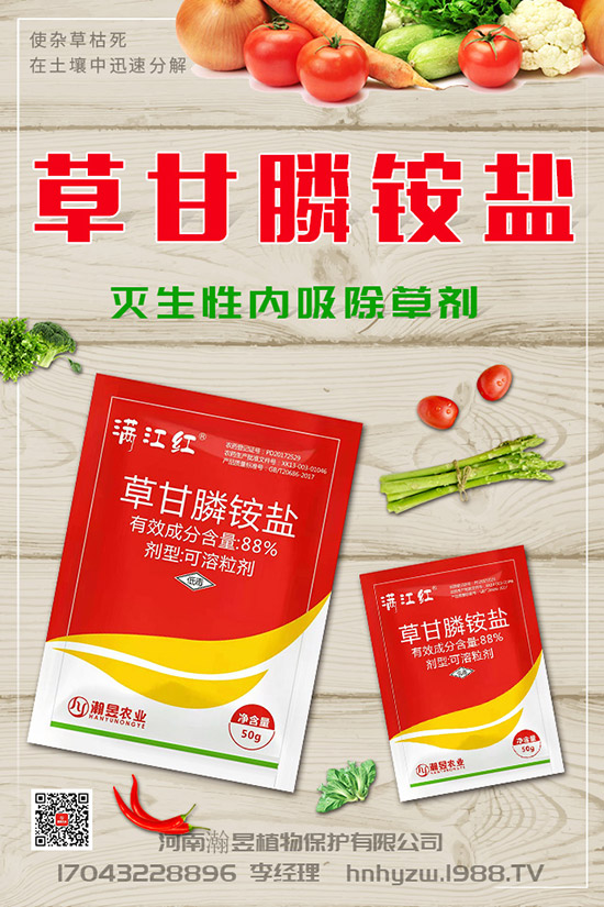 草莓根腐病得了根腐病咋辦?草莓根腐病發(fā)生條件、發(fā)病發(fā)癥狀及防治!