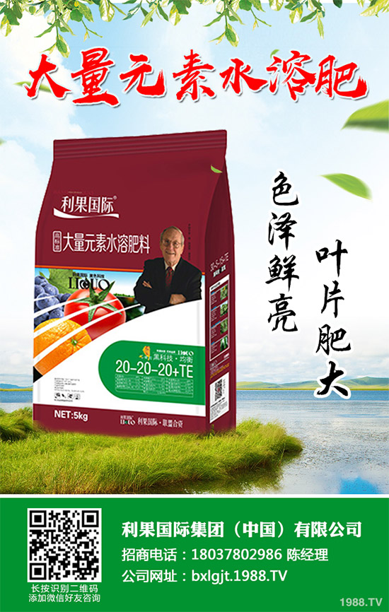 2020年種植水稻能掙錢嗎?2020年水稻種植前景