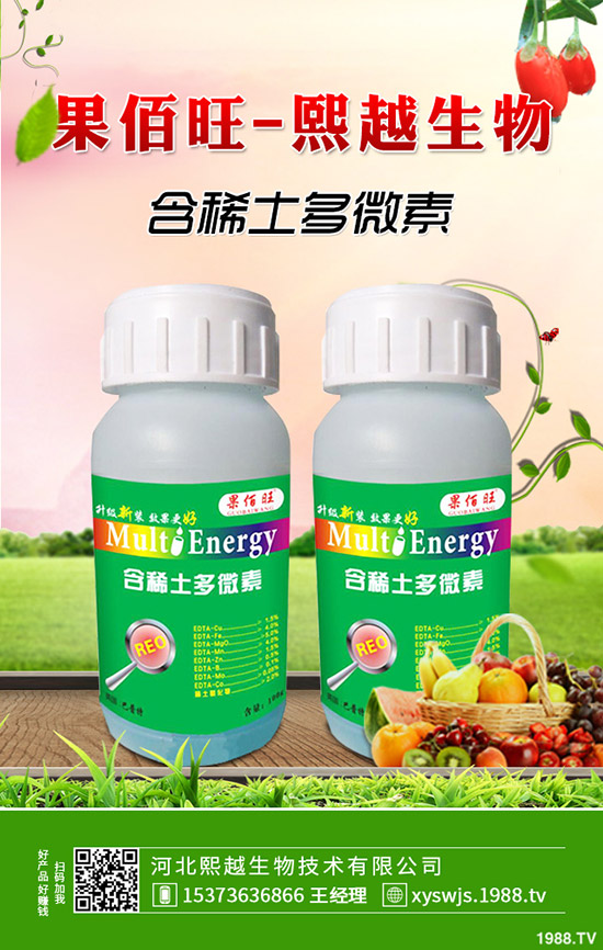 萵筍什么時(shí)候種植，萵筍種植要點(diǎn)有哪些？