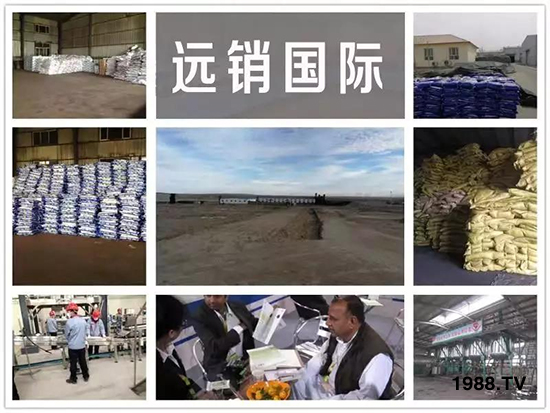 礦源黃腐酸鉀——精品肥!1公斤=8噸有機(jī)肥!新疆源頭直發(fā)?。?!