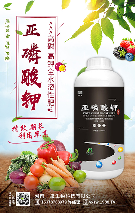 櫻桃樹為什么不結(jié)果？櫻桃樹不結(jié)果實的的解決方案！