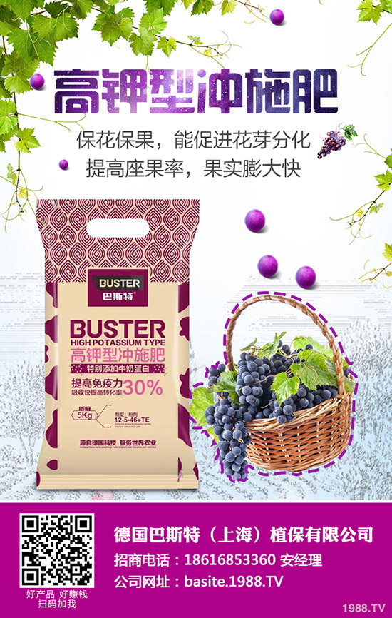 西葫蘆為什么會(huì)化瓜，西葫蘆化瓜原因及防治匯總！