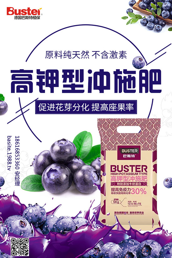 番茄灰霉病和葉霉病都有啥區(qū)別？番茄灰霉病如何防治？