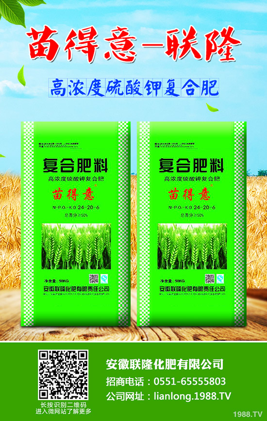 吃牛蒡對身體有什么好處?牛蒡的營養(yǎng)價值及功效!