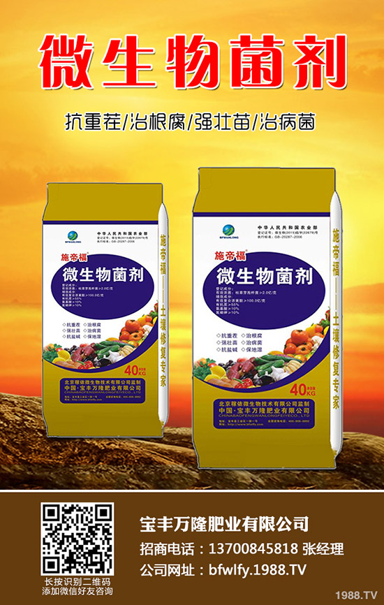 西蘭花種植方法有哪些?西蘭花種植注意事項!