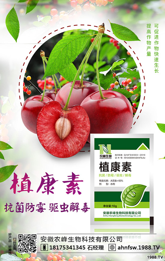 ��(d��ng)�w��ô�Nֲ����(d��ng)�w�NֲЧ�漰���༼�g(sh��)��