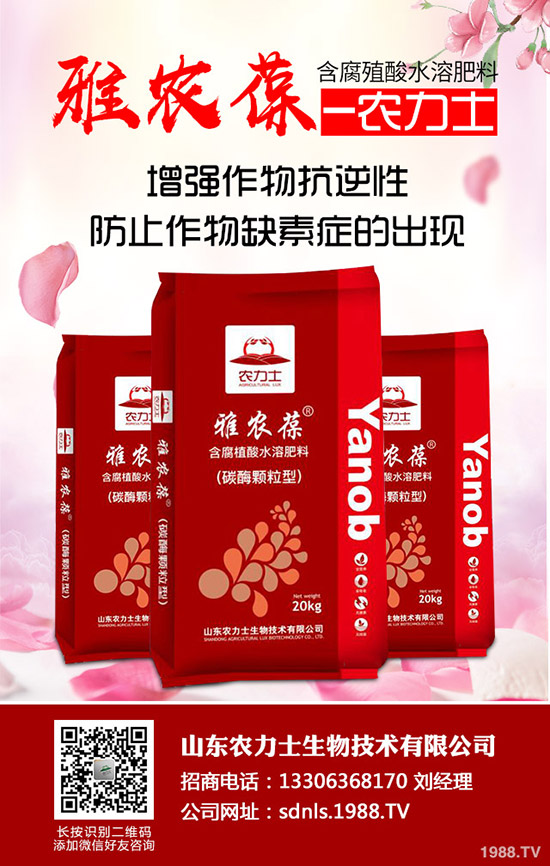 進入11月下旬!最新尿素市場行情后市走勢預(yù)測!