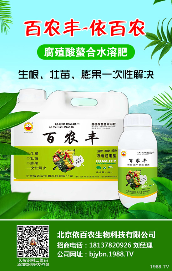 紅薯什么季節(jié)栽種，如何能將紅薯栽種好？