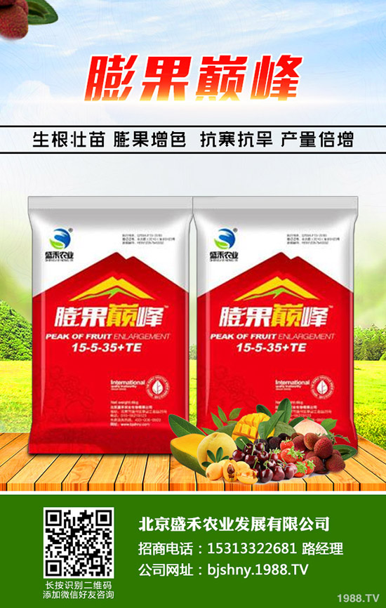 冬季大棚番茄空心果是什么原因，怎樣避免番茄空心果發(fā)生？