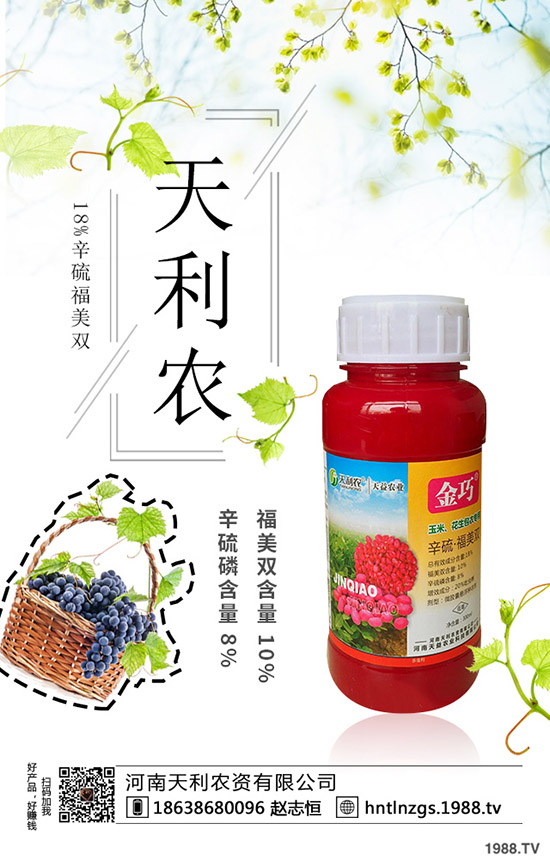 冬棗縮果病是咋回事？冬棗縮果病發(fā)病癥狀、原因和防治措施！