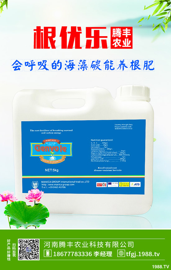 石榴褐斑病導(dǎo)致發(fā)黃落葉怎么辦？石榴褐斑病的防治要點(diǎn)！