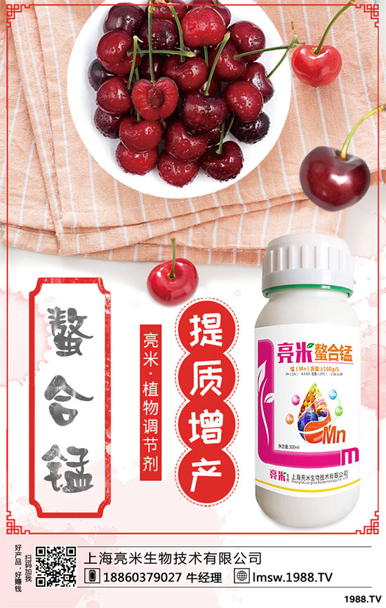 黃秋葵有哪些營養(yǎng)價(jià)值?黃秋葵高產(chǎn)栽培技術(shù)