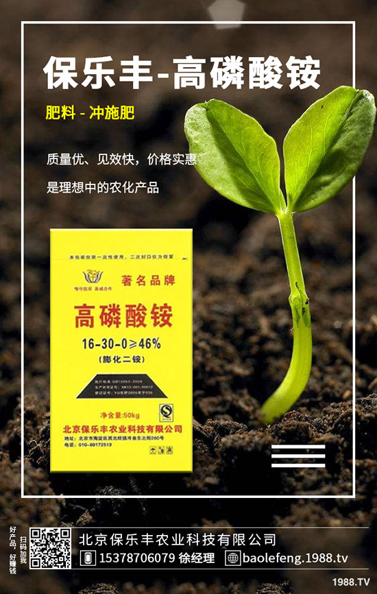 蘿卜病毒病發(fā)生規(guī)律有哪些？蘿卜病毒病防治要點(diǎn)！