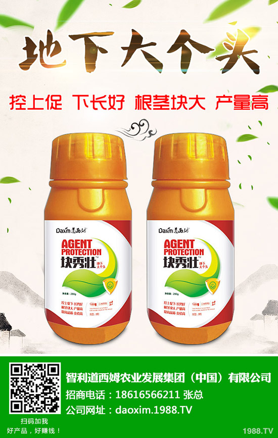 蘿卜得了炭疽病怎么辦？蘿卜炭疽病癥狀和防治方法！