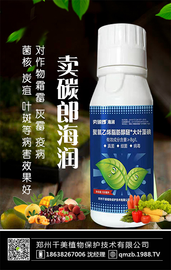 蘆筍什么季節(jié)種植?蘆筍常見病蟲害及防治!