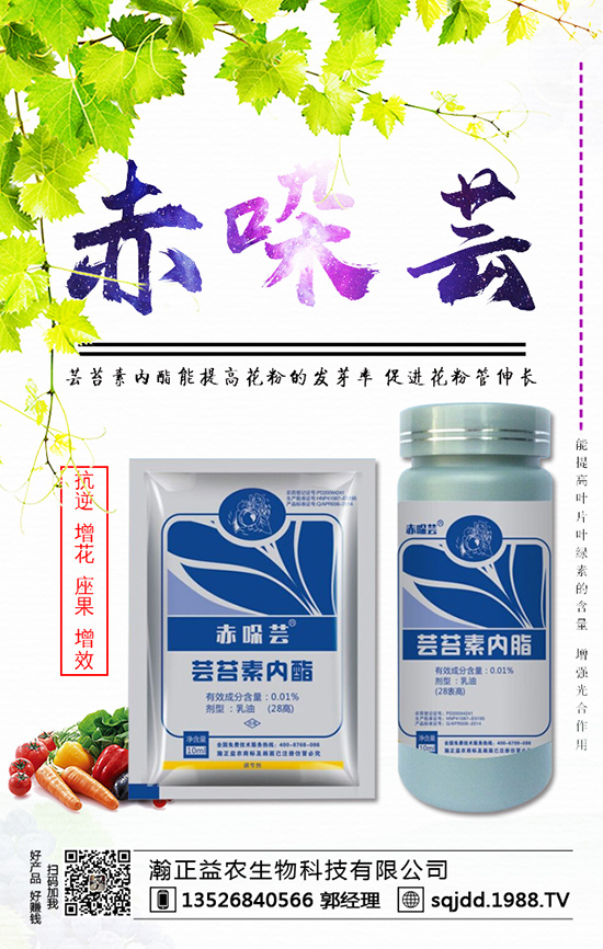 西紅柿為什么不膨果？西紅柿不膨果的防治方法