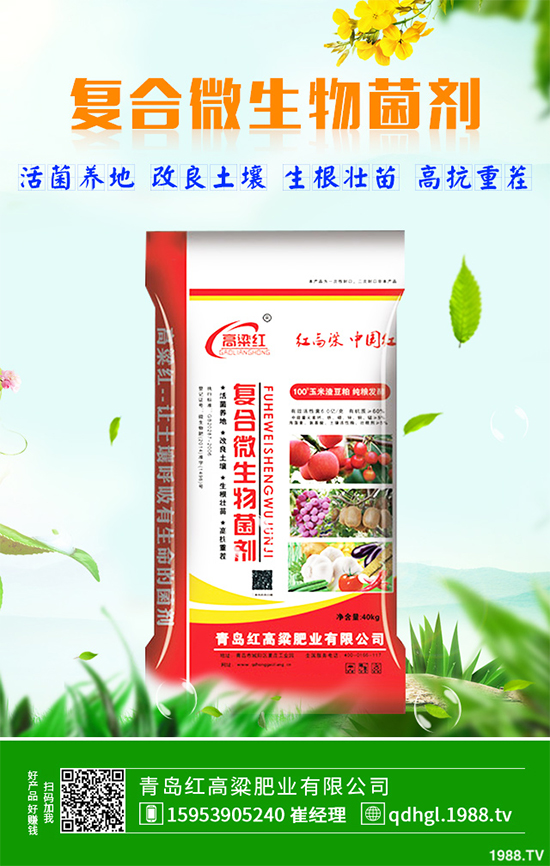 哪些地方適合種植白皮松?白皮松栽培技術管理