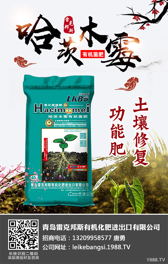 哪些地方適合種植白皮松?白皮松栽培技術管理