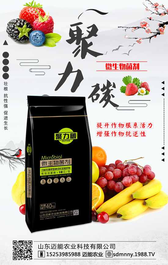 柿子各部位的營養(yǎng)價(jià)值,柿子保鮮的方法有哪些?