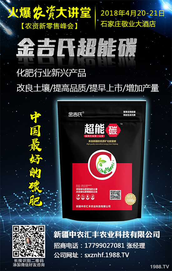 白皮松經(jīng)濟(jì)效益如何?2020白皮松的種植前景分析