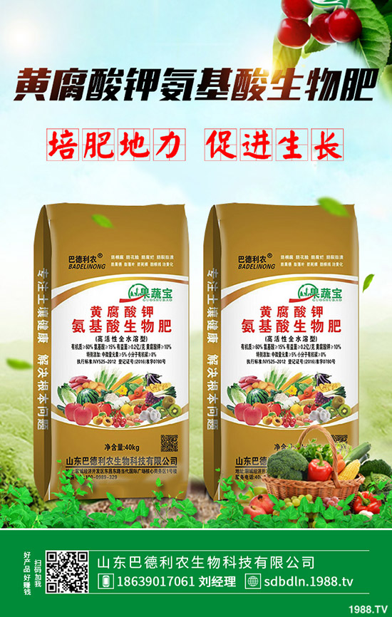 2020年棉花種植如何選購(gòu)棉種?有什么好的品種推薦?