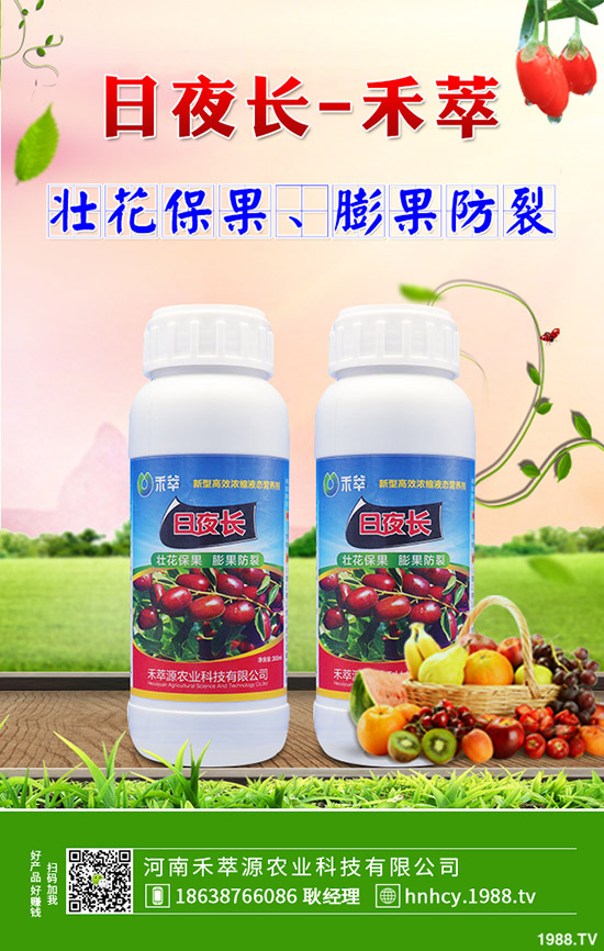 菠菜炭疽病的病因有哪些？菠菜炭疽病的防治要點！