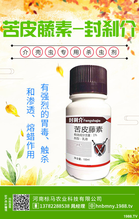 南方水稻什么時候播種,水稻播種育苗要點,快來看看