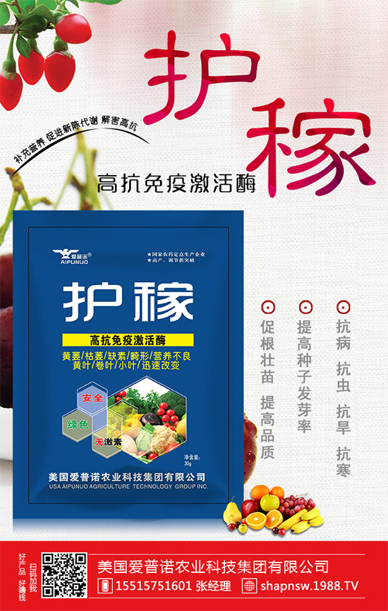 大蒜價格上漲原因有哪些?2020年大蒜價格行情預測!