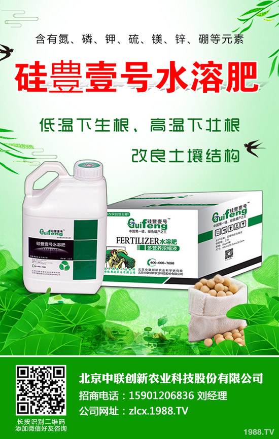 辣椒的種植要點(diǎn)有哪些，辣椒地膜覆蓋栽培技術(shù)！