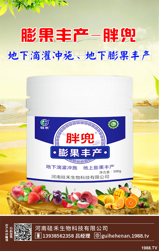 大棚西芹你知道該如何種植嗎?大棚西芹種植管理技術