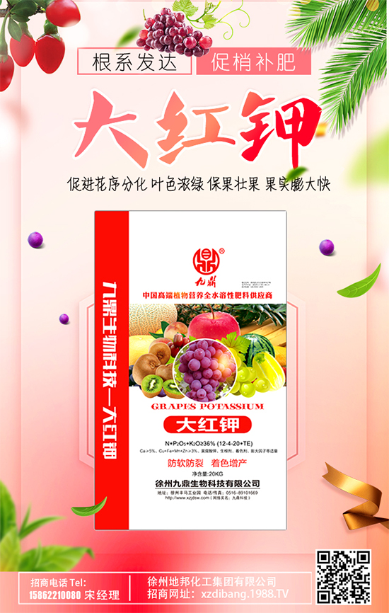 豆芽種植技術(shù)要點(diǎn)有哪些？豆芽有哪些功效作用？