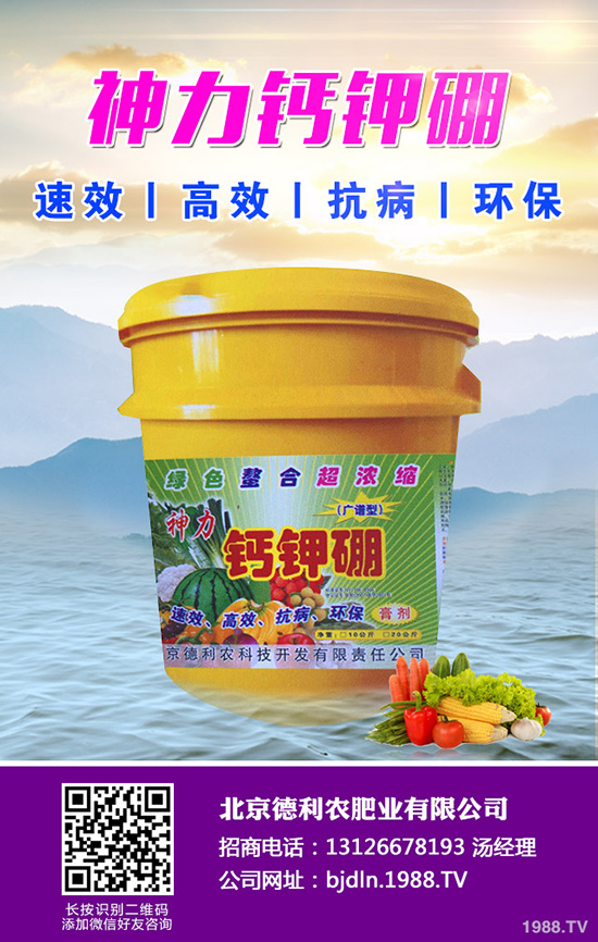 八月瓜種植前景如何,八月瓜種植要點!