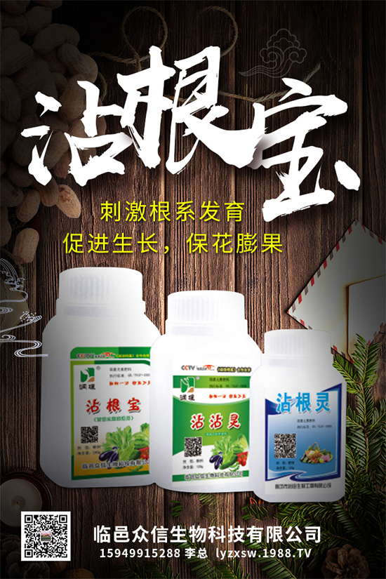 大棚種植黃瓜優(yōu)質(zhì)高產(chǎn)管理,肥料需要這樣施!