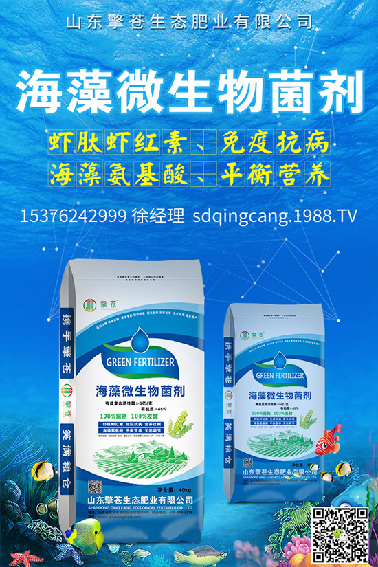 尿素價(jià)格跌出新價(jià)!2019年11月初尿素行情走勢(shì)分析及后市預(yù)測(cè)!