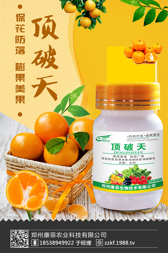 花椰菜軟腐病危害來襲,有沒有好的防治方法?快來看看吧!