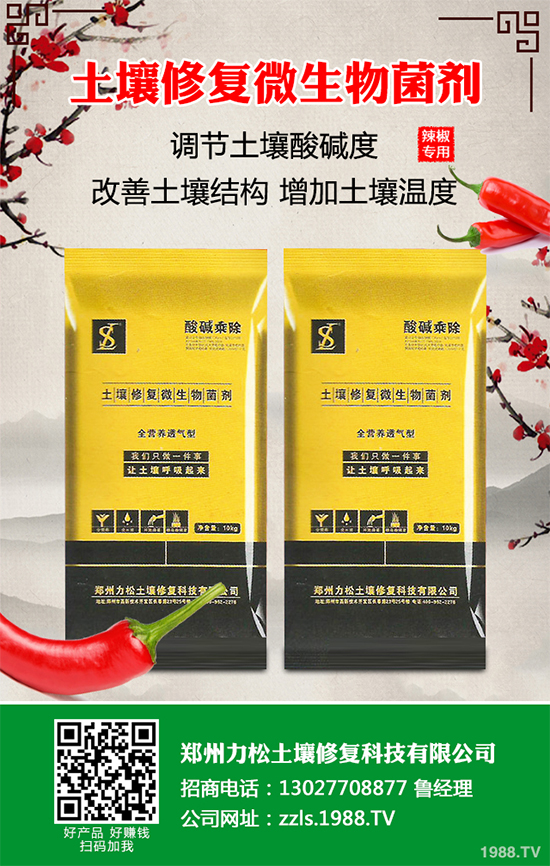 花椰菜軟腐病危害來襲,有沒有好的防治方法?快來看看吧!