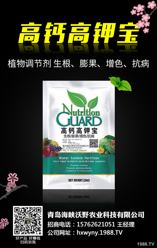 小麥田雜草什么時候防治更佳？小麥雜草解決方案！