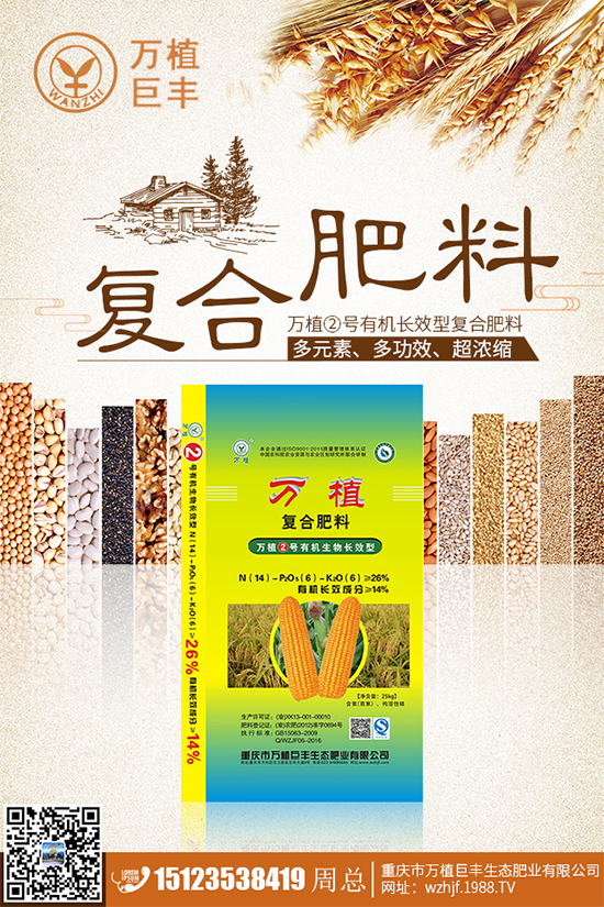 溫室大棚茄子該如何栽培?冬季大棚高產(chǎn)栽培技術(shù)