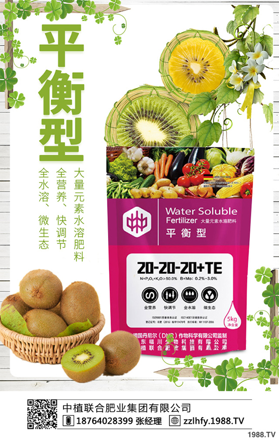 越冬蔬菜種植該注意什么?越冬蔬菜高產(chǎn)種植技術(shù)及注意事項(xiàng)