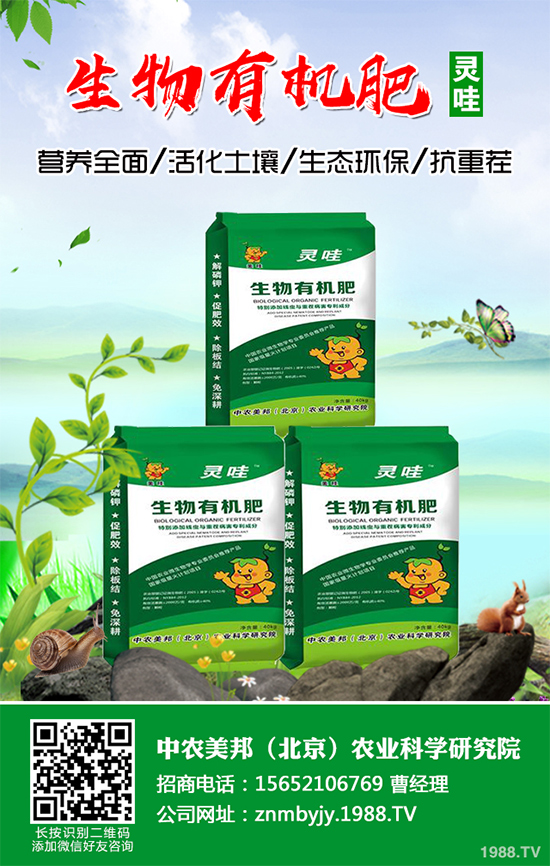 越冬蔬菜種植該注意什么?越冬蔬菜高產(chǎn)種植技術(shù)及注意事項(xiàng)