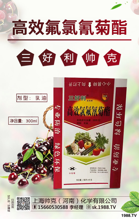 蒜黃一般是什么時(shí)間播種，蒜黃的種植技巧有哪些？