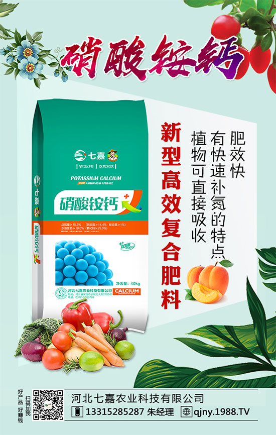 2020年茶籽價格多少錢一斤？油茶樹種植前景如何？（附種植技術）