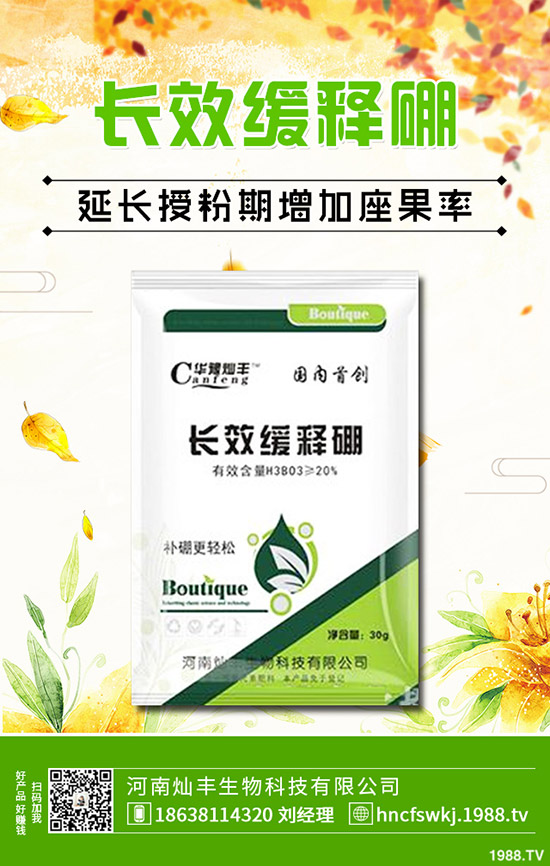 防風種植技術(shù)有哪些?防風的田間管理