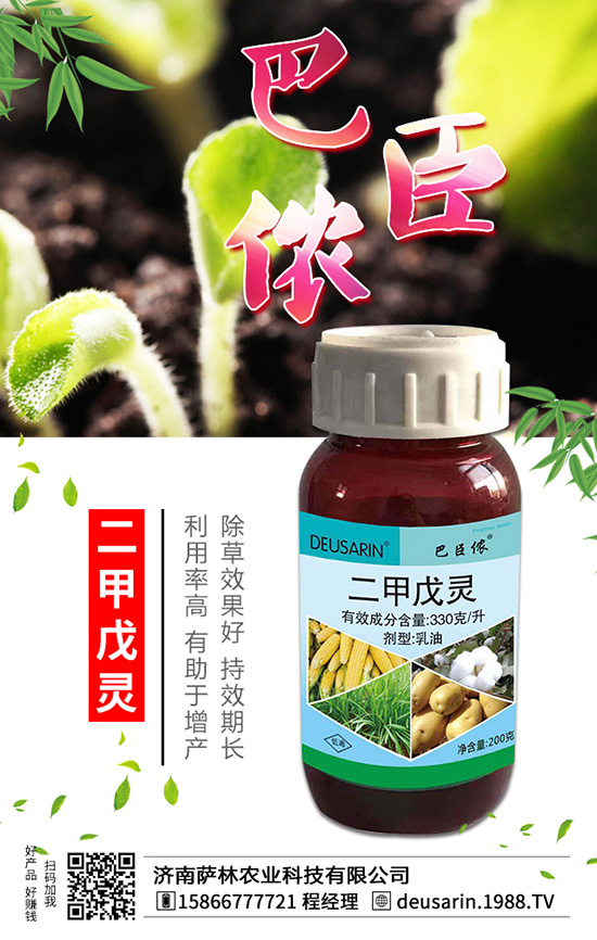 艾草除草時間 艾草除草方法措施