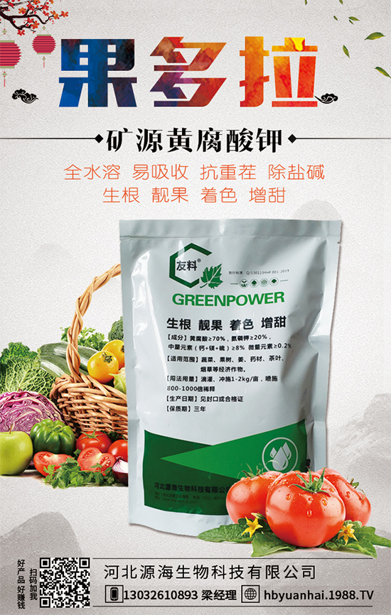 大蒜今日價格多少錢一斤？2020年大蒜種植前景如何？