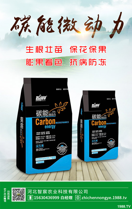 ħ��ԓ��ô�N��ħ��߮a(ch��n)�Nֲ��������