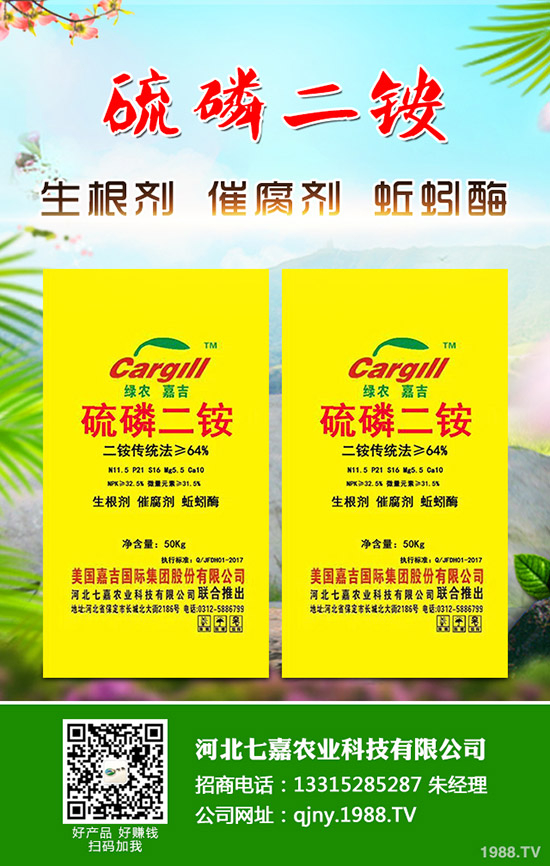 盆栽草莓怎么施肥,盆栽草莓施肥方法有哪些