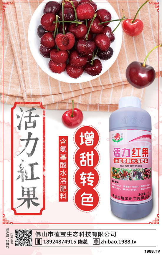 豆角歇伏什么原因?如何應(yīng)對豆角歇伏?