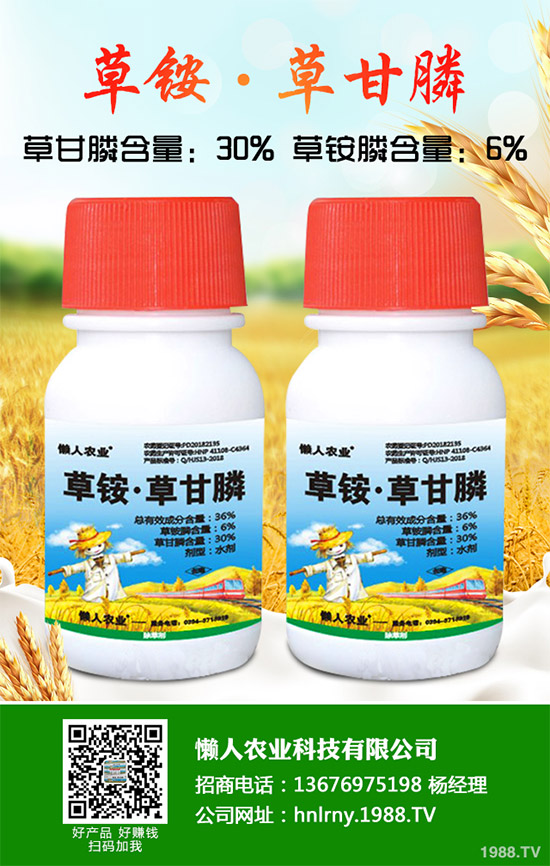 縷、灰藜的勁敵來了青海成功研發(fā)一種微生物除草劑